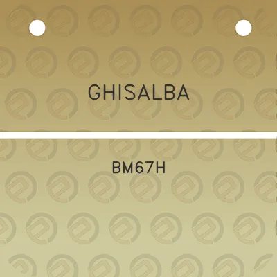 ghisalba-bm67h