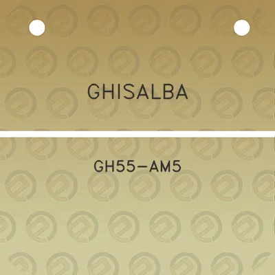 ghisalba-gh55-am5