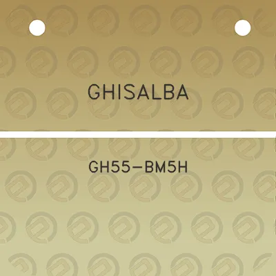 ghisalba-gh55-bm5h