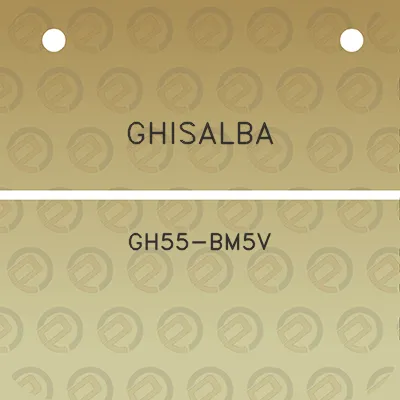 ghisalba-gh55-bm5v