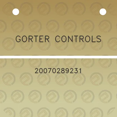 gorter-controls-20070289231