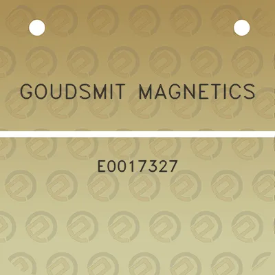 goudsmit-magnetics-e0017327