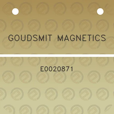 goudsmit-magnetics-e0020871