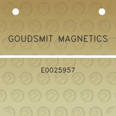 goudsmit-magnetics-e0025957