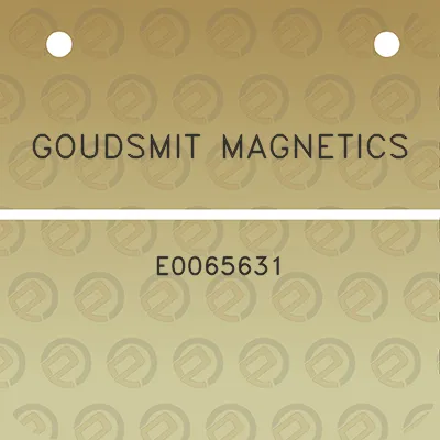 goudsmit-magnetics-e0065631