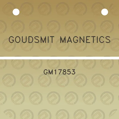 goudsmit-magnetics-gm17853