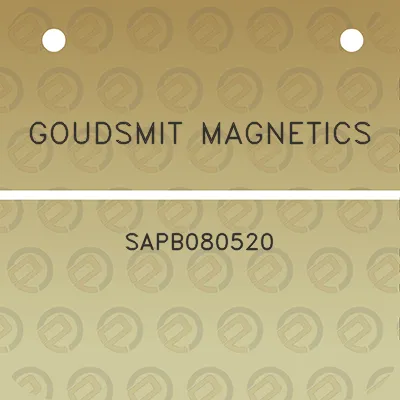 goudsmit-magnetics-sapb080520