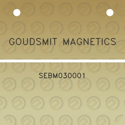 goudsmit-magnetics-sebm030001