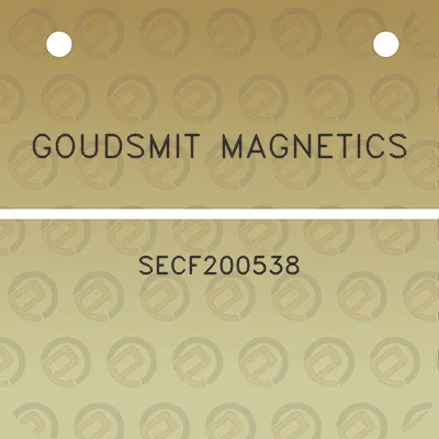 goudsmit-magnetics-secf200538