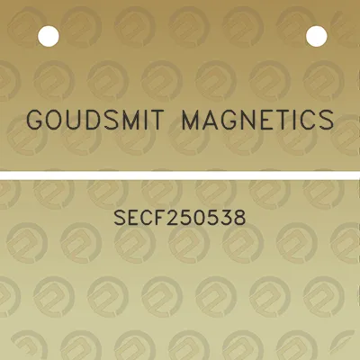 goudsmit-magnetics-secf250538