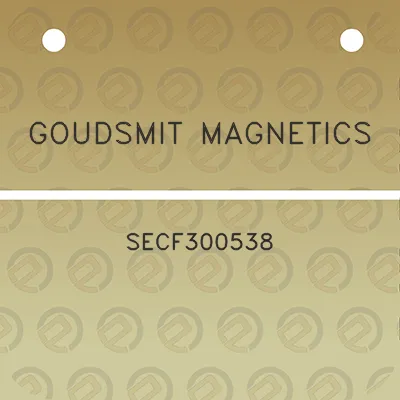 goudsmit-magnetics-secf300538