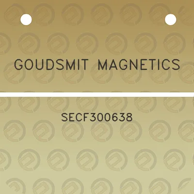 goudsmit-magnetics-secf300638