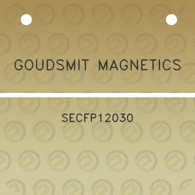 goudsmit-magnetics-secfp12030