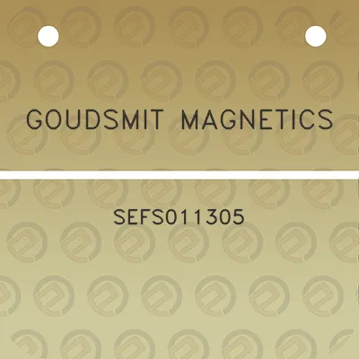 goudsmit-magnetics-sefs011305