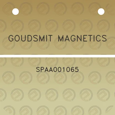 goudsmit-magnetics-spaa001065