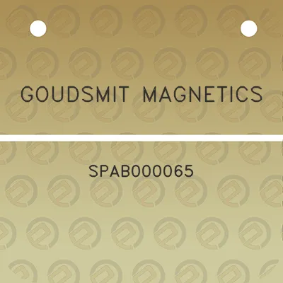 goudsmit-magnetics-spab000065