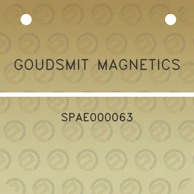 goudsmit-magnetics-spae000063