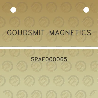 goudsmit-magnetics-spae000065