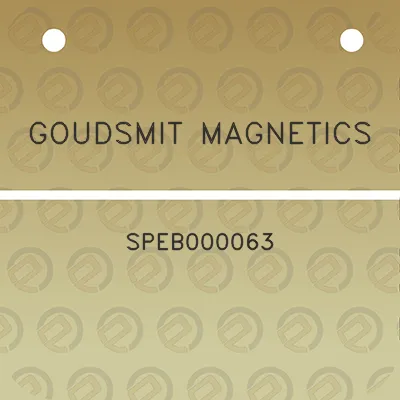 goudsmit-magnetics-speb000063