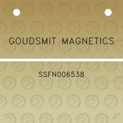 goudsmit-magnetics-ssfn006538