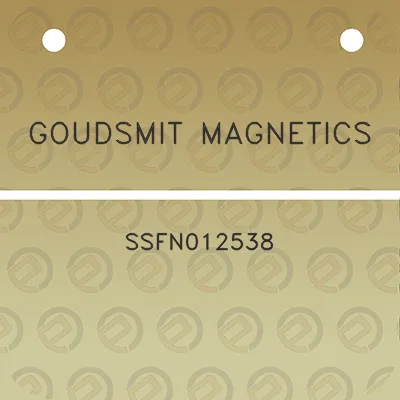 goudsmit-magnetics-ssfn012538