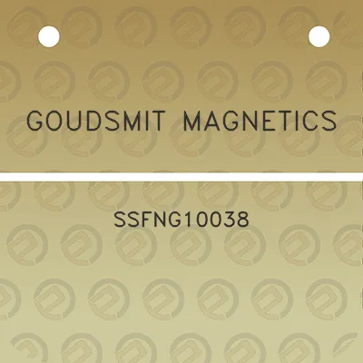 goudsmit-magnetics-ssfng10038