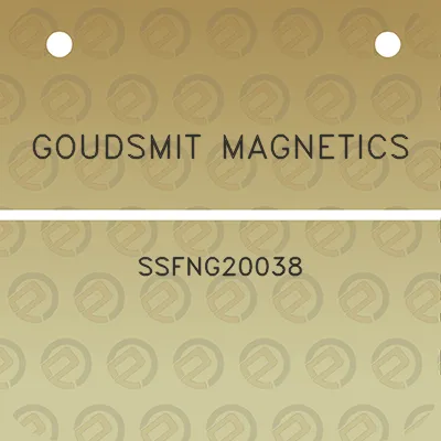 goudsmit-magnetics-ssfng20038