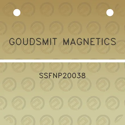 goudsmit-magnetics-ssfnp20038