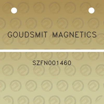 goudsmit-magnetics-szfn001460