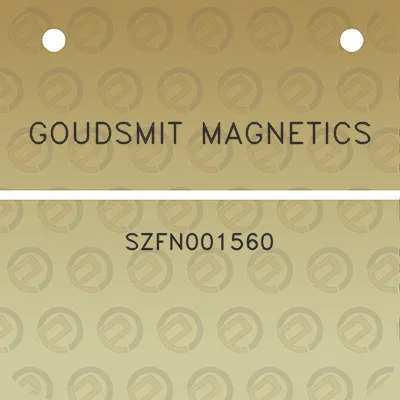 goudsmit-magnetics-szfn001560