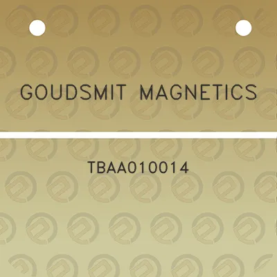 goudsmit-magnetics-tbaa010014