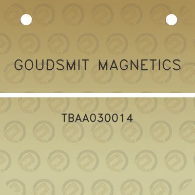 goudsmit-magnetics-tbaa030014