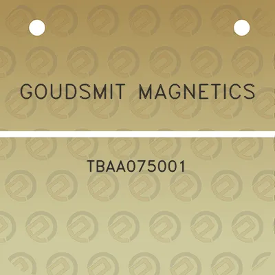 goudsmit-magnetics-tbaa075001