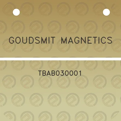 goudsmit-magnetics-tbab030001