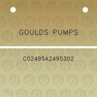 goulds-pumps-c02495a2495302