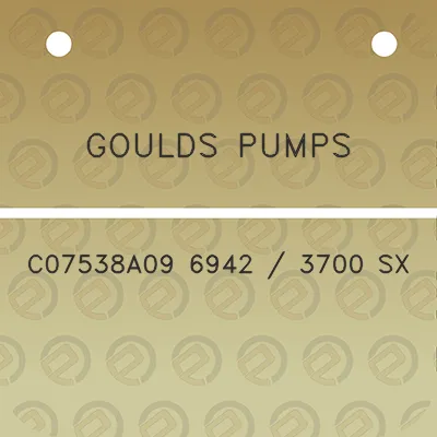 goulds-pumps-c07538a09-6942-3700-sx