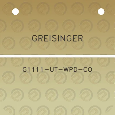 greisinger-g1111-ut-wpd-co