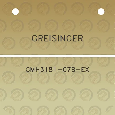 greisinger-gmh3181-07b-ex