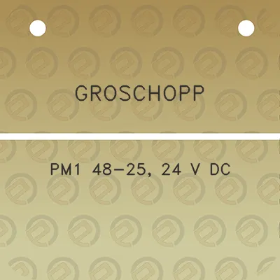 groschopp-pm1-48-25-24-v-dc