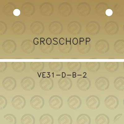 groschopp-ve31-d-b-2