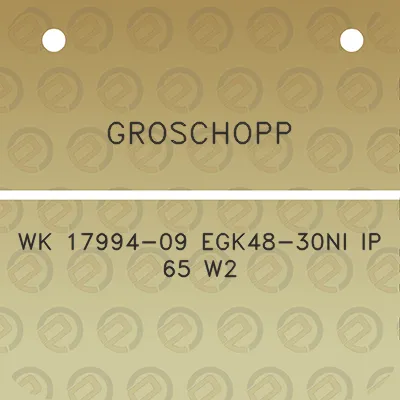 groschopp-wk-17994-09-egk48-30ni-ip-65-w2