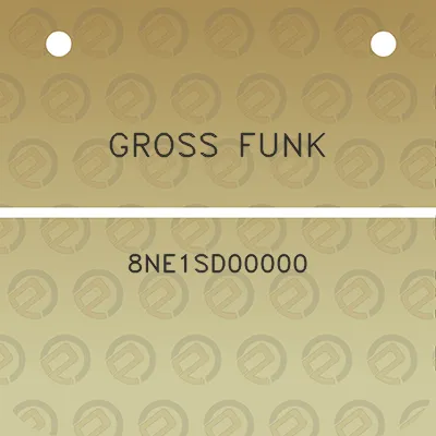 gross-funk-8ne1sd00000