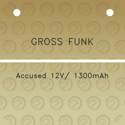 gross-funk-accused-12v-1300mah