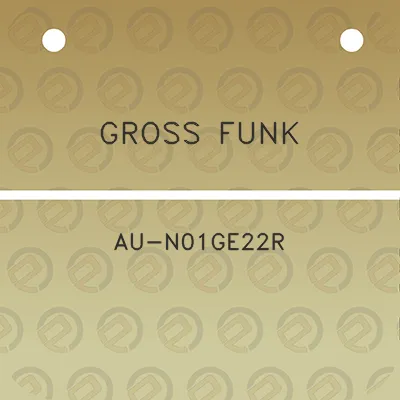 gross-funk-au-n01ge22r