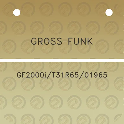 gross-funk-gf2000it31r6501965