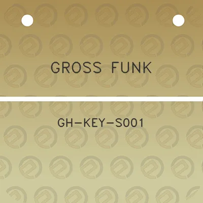 gross-funk-gh-key-s001