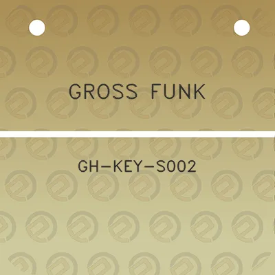 gross-funk-gh-key-s002