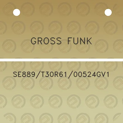 gross-funk-se889t30r6100524gv1