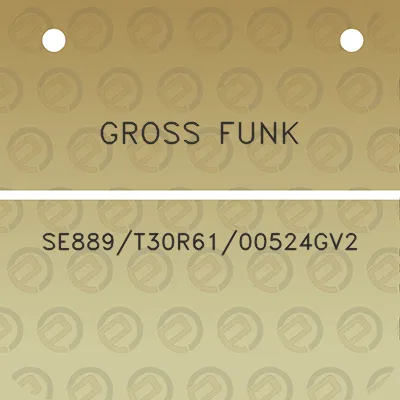 gross-funk-se889t30r6100524gv2