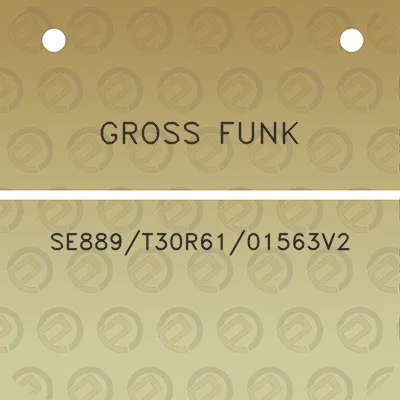 gross-funk-se889t30r6101563v2